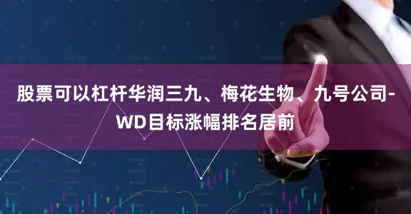 股票可以杠杆华润三九、梅花生物、九号公司-WD目标涨幅排名居前